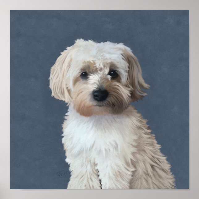 Shorkie dog pet portrait  poster (Front)