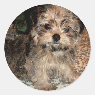 Shorkie Puppy Classic Round Sticker