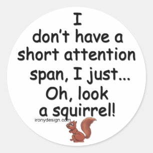 Short Attention Span Squirrel Classic Round Sticker