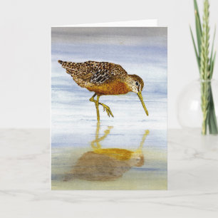Short-Billed Dowitcher Card