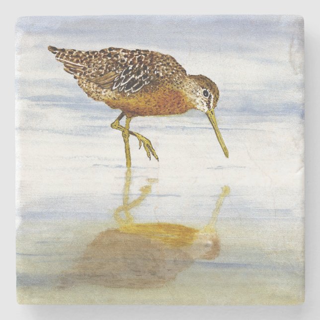 Short-Billed Dowitcher Coaster (Front)
