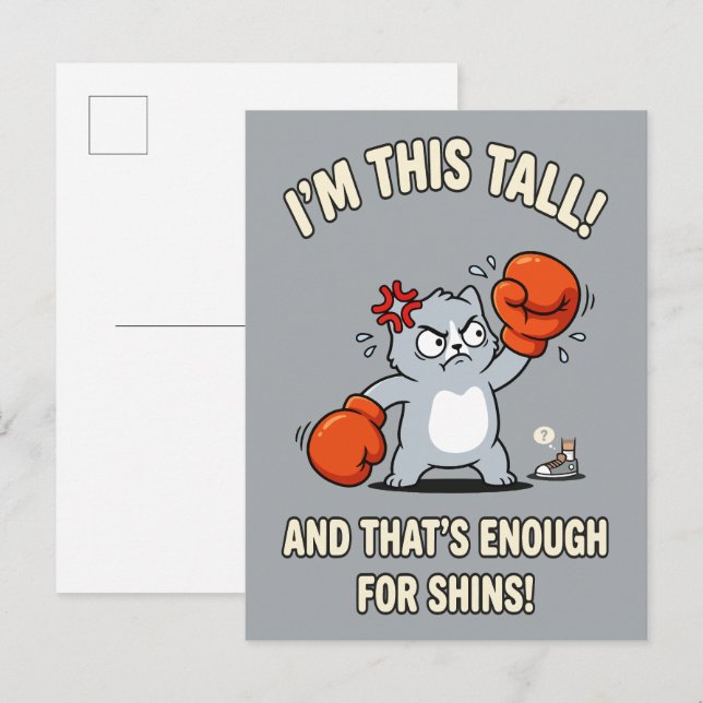 Short Cat Boxing Gloves Funny Shins Postcard (Front/Back)