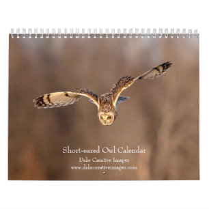 Short-eared Owl 2025 Calendar