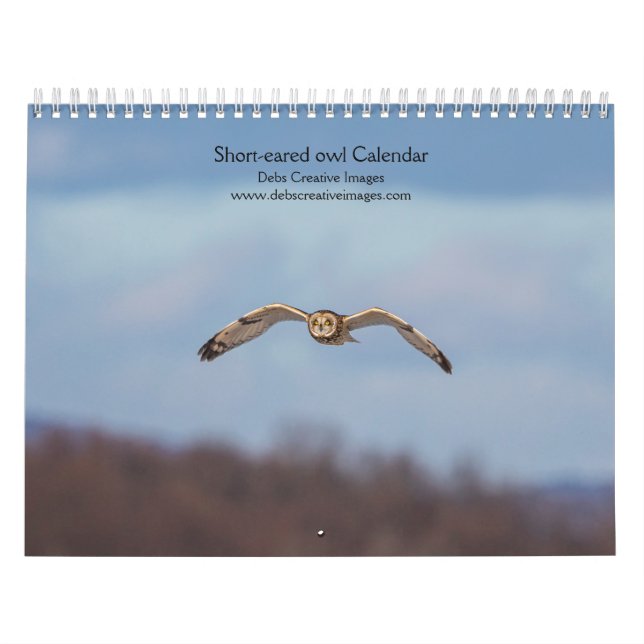 Short-eared owl 2026 calendar (Cover)