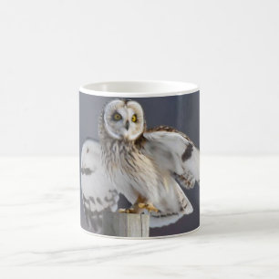 Short-Eared Owl 2 Coffee Mug