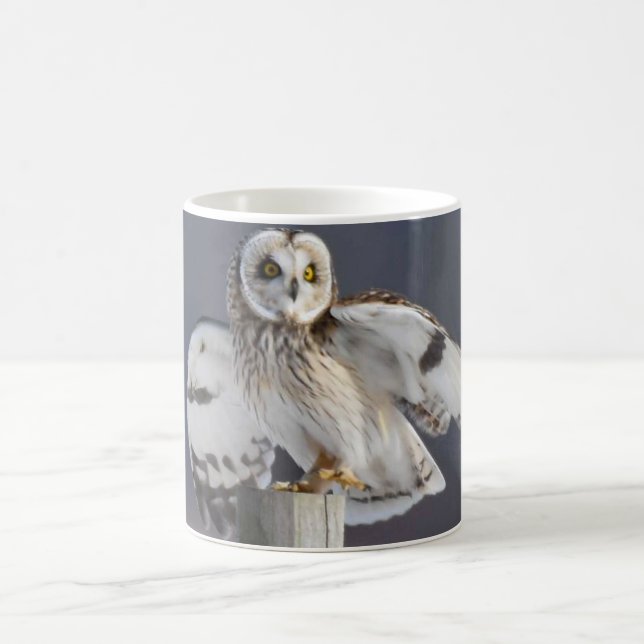 Short-Eared Owl 2 Coffee Mug (Center)