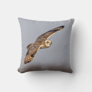 Short-eared owl at the Shawangunk Grasslands Cushion