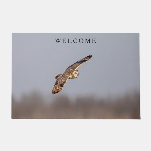 Short-eared owl at the Shawangunk Grasslands Doormat (Front)