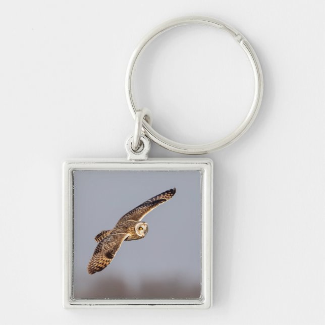 Short-eared owl at the Shawangunk Grasslands Key Ring (Front)