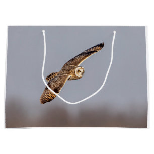Short-eared owl at the Shawangunk Grasslands Large Gift Bag