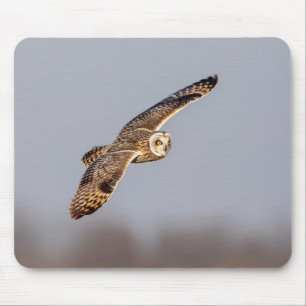 Short-eared owl at the Shawangunk Grasslands Mouse Pad