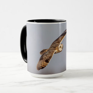 Short-eared owl at the Shawangunk Grasslands Mug