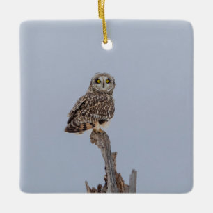 Short-Eared Owl Ceramic Ornament