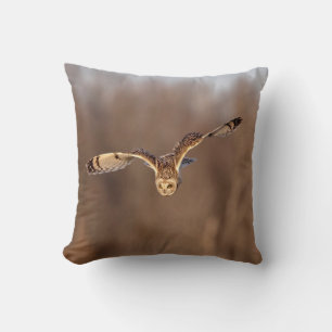 Short-eared owl diving towards the ground cushion