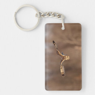 Short-eared owl diving towards the ground key ring