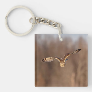 Short-eared owl diving towards the ground key ring