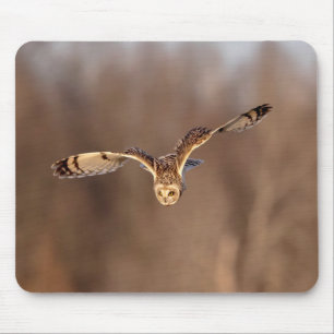 Short-eared owl diving towards the ground mouse pad