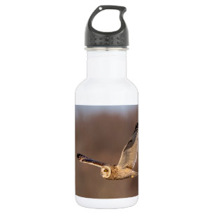 Short-eared owl in flight 532 ml water bottle