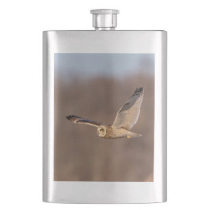 Short-eared owl in flight hip flask