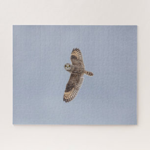 Short-Eared Owl Jigsaw Puzzle