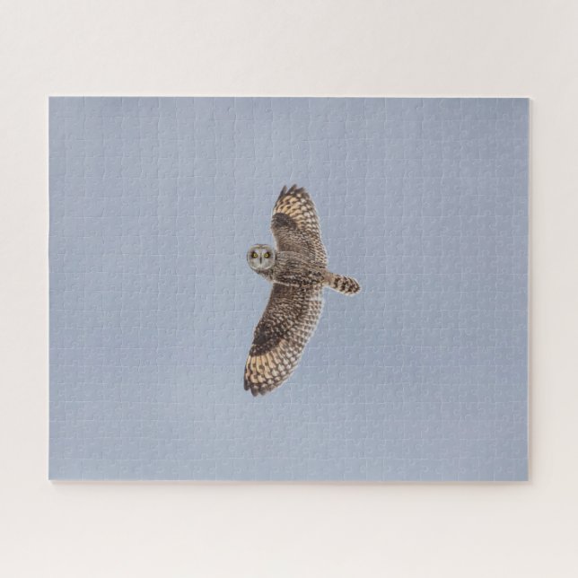 Short-Eared Owl Jigsaw Puzzle (Horizontal)