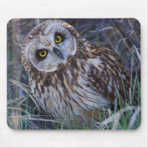 Short-eared Owl Mouse Pad