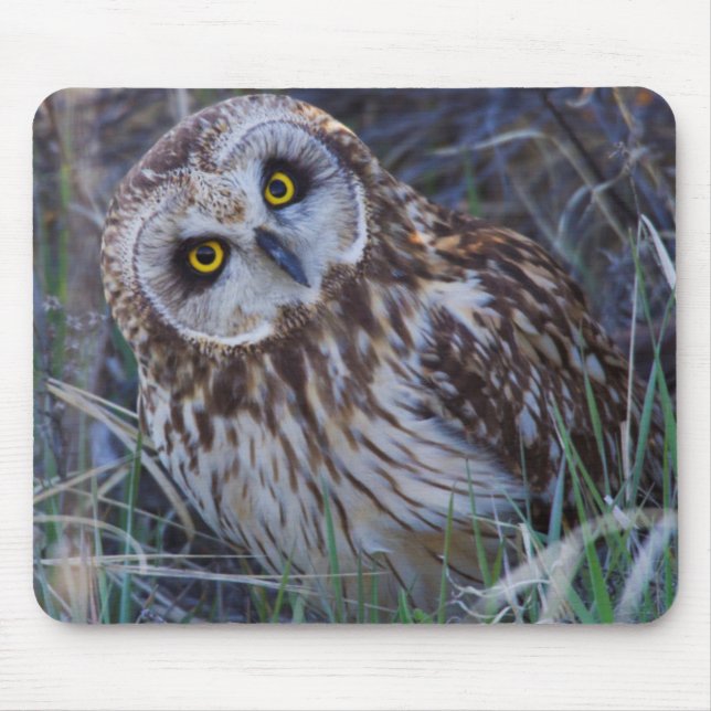 Short-eared Owl Mouse Pad (Front)