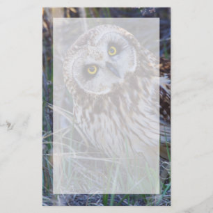 Short-eared Owl Stationery