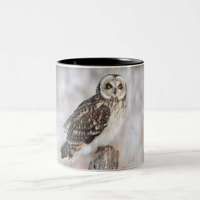 Short-Eared Owl Two-Tone Coffee Mug (Center)