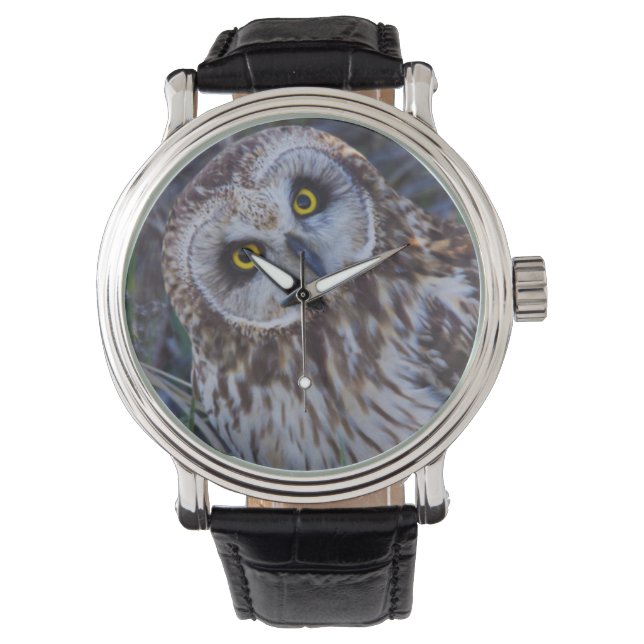 Short-eared Owl Watch (Front)