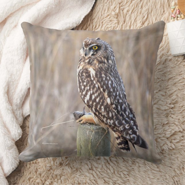 Short-Eared Owl with Vole Cushion (Blanket)