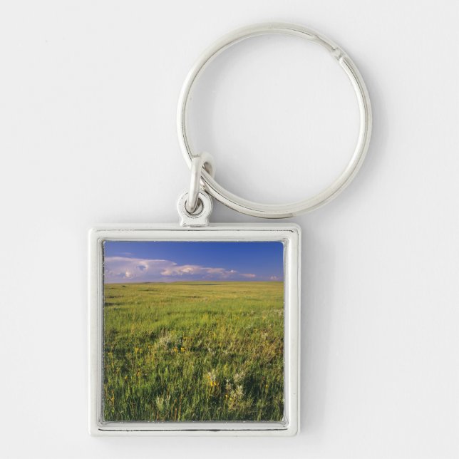 Short Grass Prairie in remote northeastern Key Ring (Front)