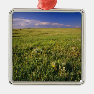Short Grass Prairie in remote northeastern Metal Tree Decoration