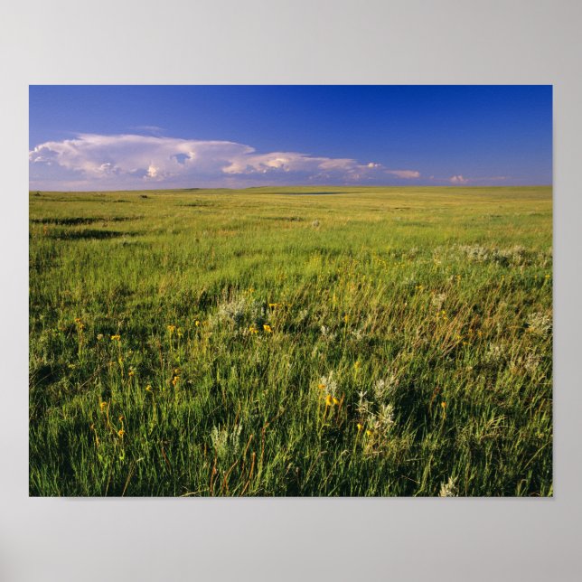 Short Grass Prairie in remote northeastern Poster (Front)