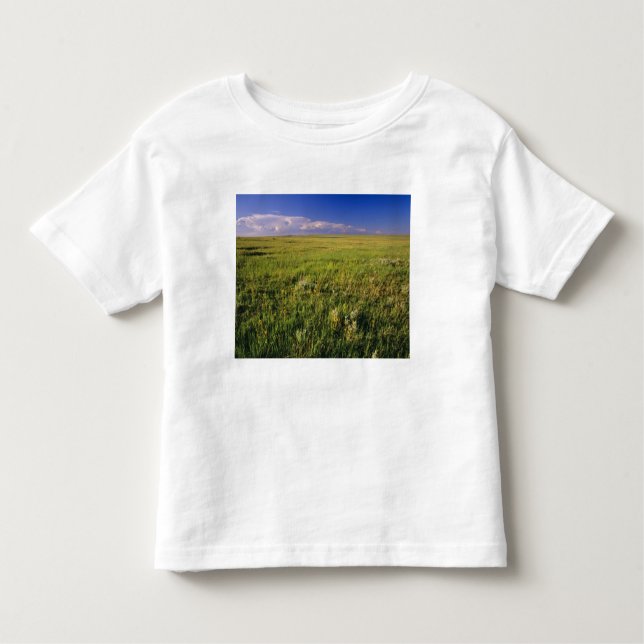 Short Grass Prairie in remote northeastern Toddler T-Shirt (Front)
