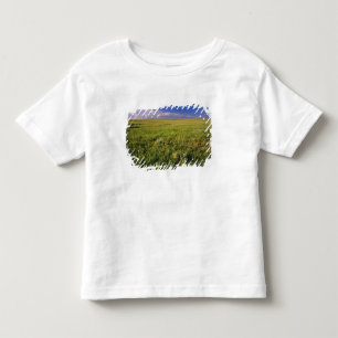 Short Grass Prairie in remote northeastern Toddler T-Shirt