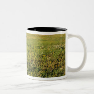 Short Grass Prairie in remote northeastern Two-Tone Coffee Mug