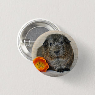 Short Hair, Smooth, Agouti Guinea Pig and Poppy 3 Cm Round Badge
