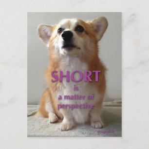 Short is a Matter of Perspective Cute Corgi Card
