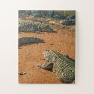 Short Nosed Crocodiles Sunbathing Near Turtles Jigsaw Puzzle