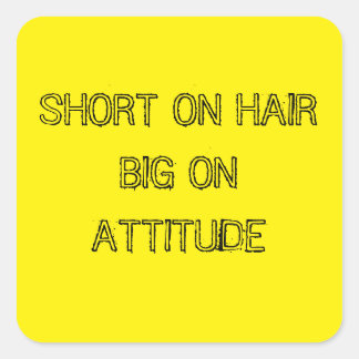 SHORT ON HAIR BIG ON ATTITUDE STICKERS