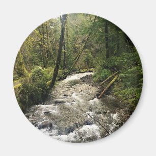 Short Sand Creek, Oswald West, Oregon Magnet