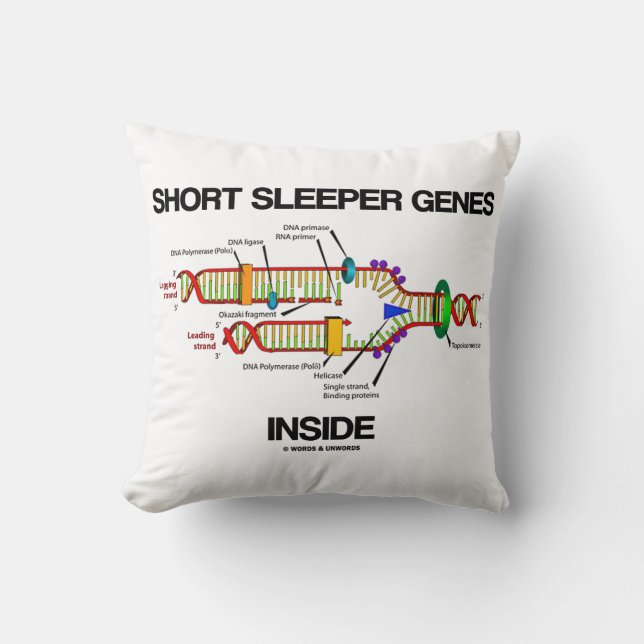 Short Sleeper Genes Inside DNA Replication Humour Cushion (Front)