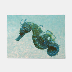 Short-Snouted Seahorse   Crimea, Russia Doormat