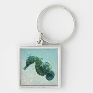 Short-Snouted Seahorse   Crimea, Russia Key Ring