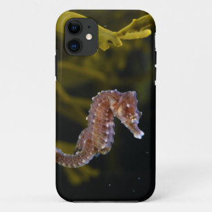 Short-snouted Seahorse Hippocampus hippocampus iPhone 11 Case