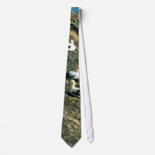Short-tailed Albatross Tie
