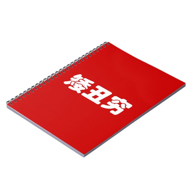 Short, Ugly & Poor 矮丑穷 Chinese Hanzi MEME Notebook (Left Side)