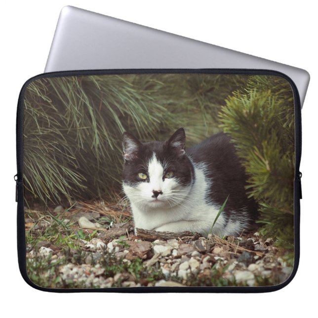 Shorthair Cat - Bag (Front)