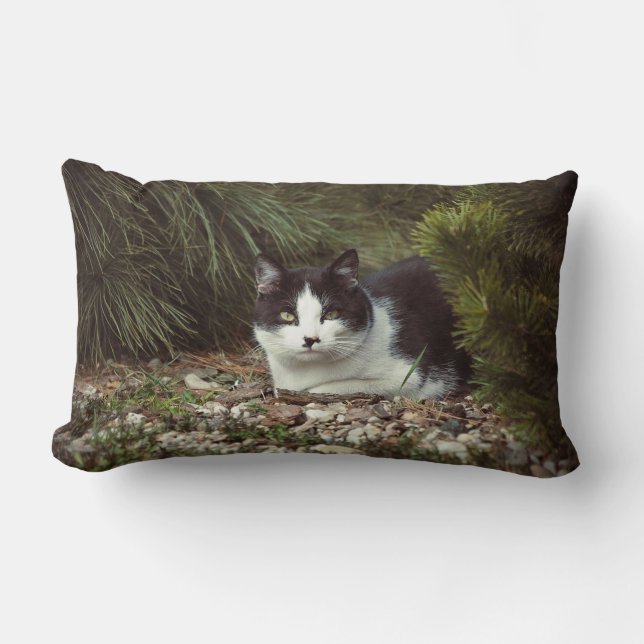 Shorthair Cat - Pillow (Front)